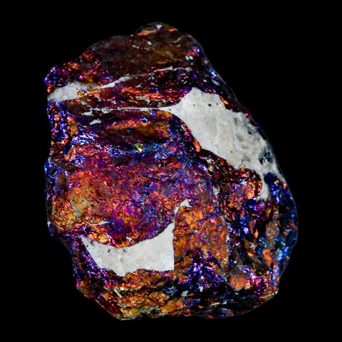 2" Chalcopyrite Bornite Brilliant Multicolored Peacock Ore Chihuahua Mexico - Fossil Age Minerals