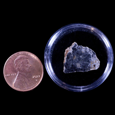 0.7" Moon Rock Lunar Meteorite Bechar 003 Algerian Sahara Desert 2022 1.6 Grams - Fossil Age Minerals