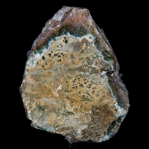3.8" Amethyst Crystal Cluster Mineral Specimen Brazil Custom Medal Stand