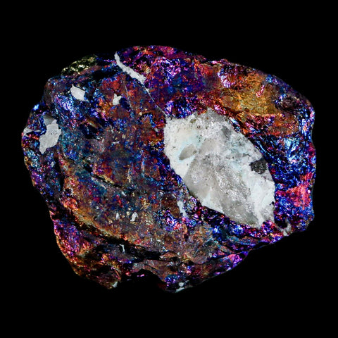 2" Chalcopyrite Bornite Brilliant Multicolored Peacock Ore Chihuahua Mexico - Fossil Age Minerals