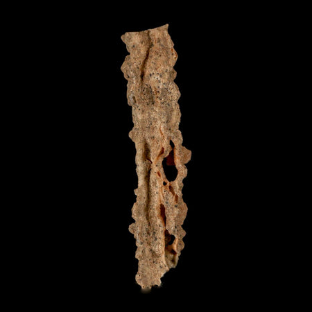 3.6" Fulgurite Petrified Lightning Strike Glass Sahara Desert Algeria