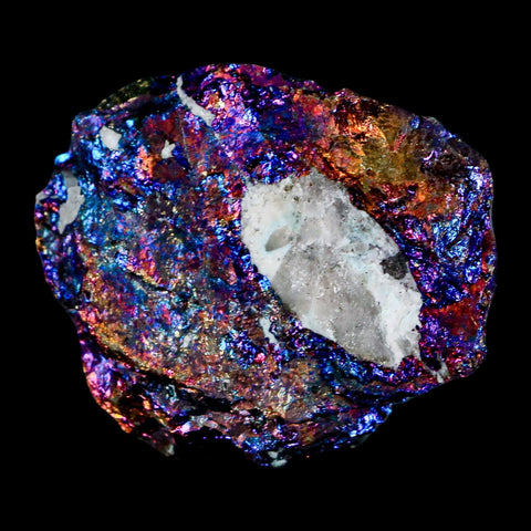 2" Chalcopyrite Bornite Brilliant Multicolored Peacock Ore Chihuahua Mexico - Fossil Age Minerals