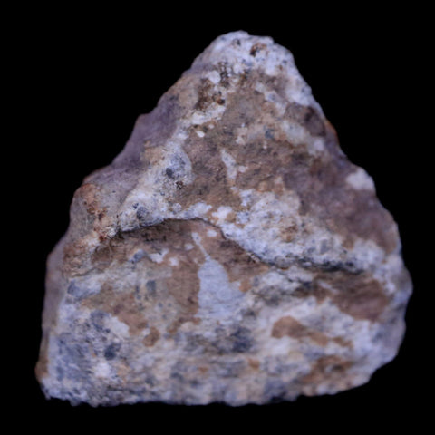 0.7" Moon Rock Lunar Meteorite Bechar 003 Algerian Sahara Desert 2022 2.2 Grams - Fossil Age Minerals