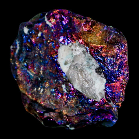 2" Chalcopyrite Bornite Brilliant Multicolored Peacock Ore Chihuahua Mexico - Fossil Age Minerals