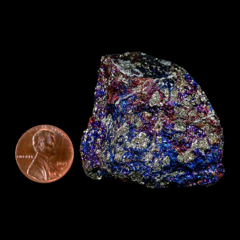 1.8" Chalcopyrite Bornite Brilliant Multicolored Peacock Ore Chihuahua Mexico - Fossil Age Minerals