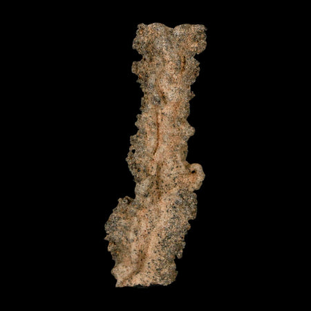 2.9" Fulgurite Petrified Lightning Strike Glass Sahara Desert Algeria
