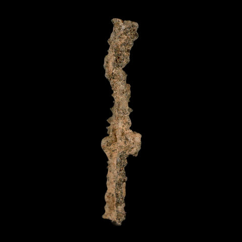 2.9" Fulgurite Petrified Lighting Strike Glass Sahara Desert Algeria - Fossil Age Minerals