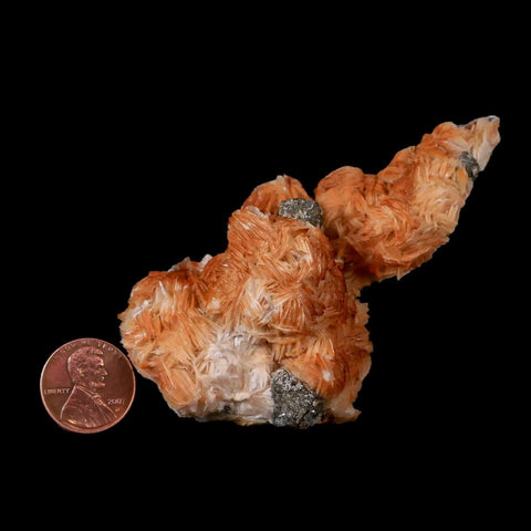 3.4" Orange Barite, Cerussite & Galena Cubes Crystal Mineral Mabladen Morocco - Fossil Age Minerals