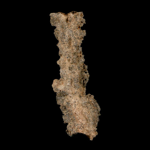 2.9" Fulgurite Petrified Lighting Strike Glass Sahara Desert Algeria - Fossil Age Minerals