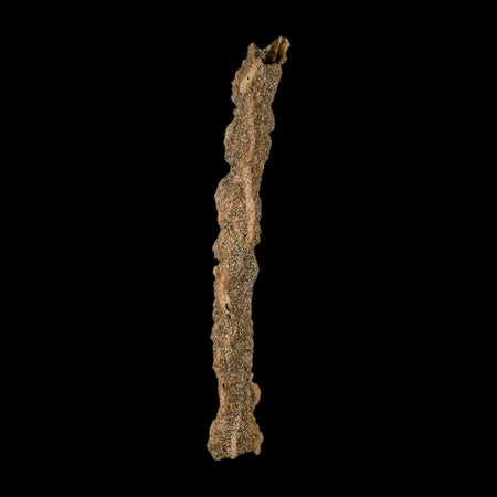 3.9" Fulgurite Petrified Lighting Strike Glass Sahara Desert Algeria