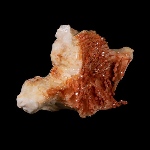 2.7" Sparkly Orange Vanadinite Crystals Orange Barite Blades Mineral Mabladen Morocco - Fossil Age Minerals