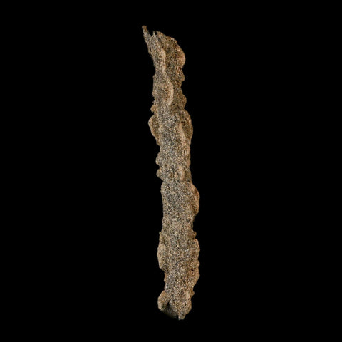3.9" Fulgurite Petrified Lighting Strike Glass Sahara Desert Algeria - Fossil Age Minerals