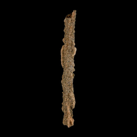 3.9" Fulgurite Petrified Lighting Strike Glass Sahara Desert Algeria - Fossil Age Minerals