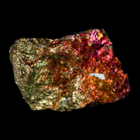 2.4" Chalcopyrite Bornite Brilliant Multicolored Peacock Ore Chihuahua Mexico - Fossil Age Minerals