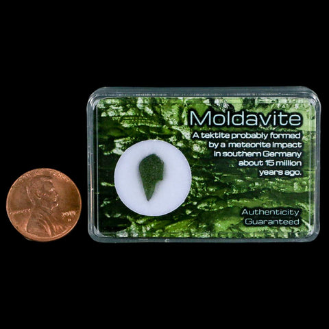 Moldavite Tektite Green Glass Meteorite Specimen Southern Germany Display - Fossil Age Minerals