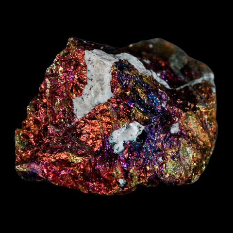 2.4" Chalcopyrite Bornite Brilliant Multicolored Peacock Ore Chihuahua Mexico - Fossil Age Minerals