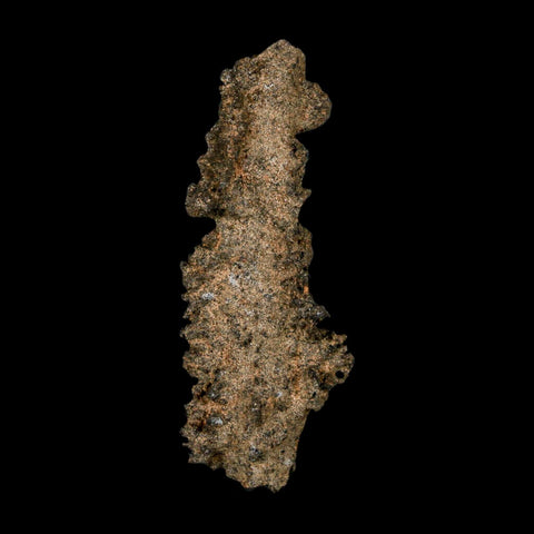 3.1" Fulgurite Petrified Lighting Strike Glass Sahara Desert Algeria - Fossil Age Minerals
