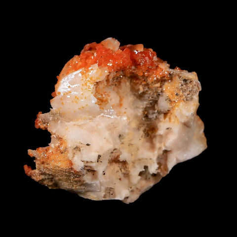 1.6" Sparkly Orange Vanadinite Crystals White Barite Blades Mineral Mabladen Morocco - Fossil Age Minerals