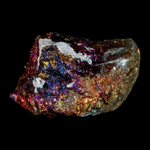 2.4" Chalcopyrite Bornite Brilliant Multicolored Peacock Ore Chihuahua Mexico - Fossil Age Minerals