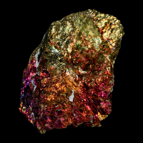 2.4" Chalcopyrite Bornite Brilliant Multicolored Peacock Ore Chihuahua Mexico - Fossil Age Minerals