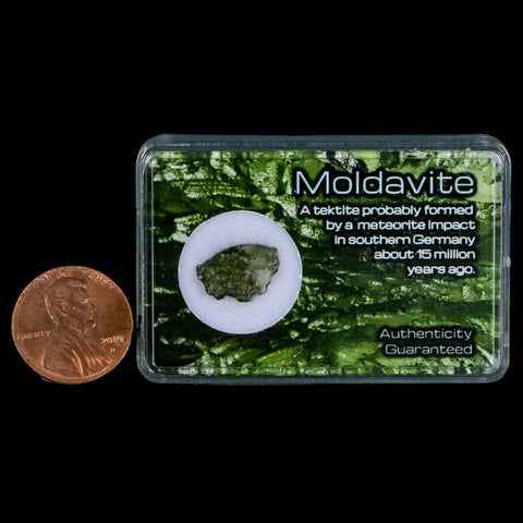 Moldavite Tektite Green Glass Meteorite Specimen Southern Germany Display - Fossil Age Minerals