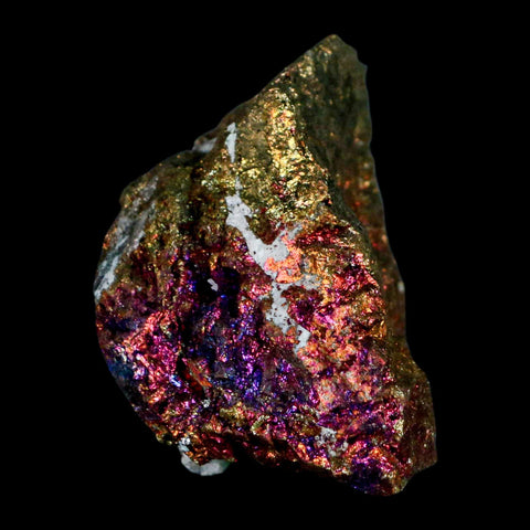 2.4" Chalcopyrite Bornite Brilliant Multicolored Peacock Ore Chihuahua Mexico - Fossil Age Minerals