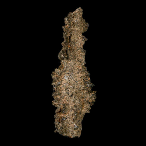 3.1" Fulgurite Petrified Lighting Strike Glass Sahara Desert Algeria - Fossil Age Minerals