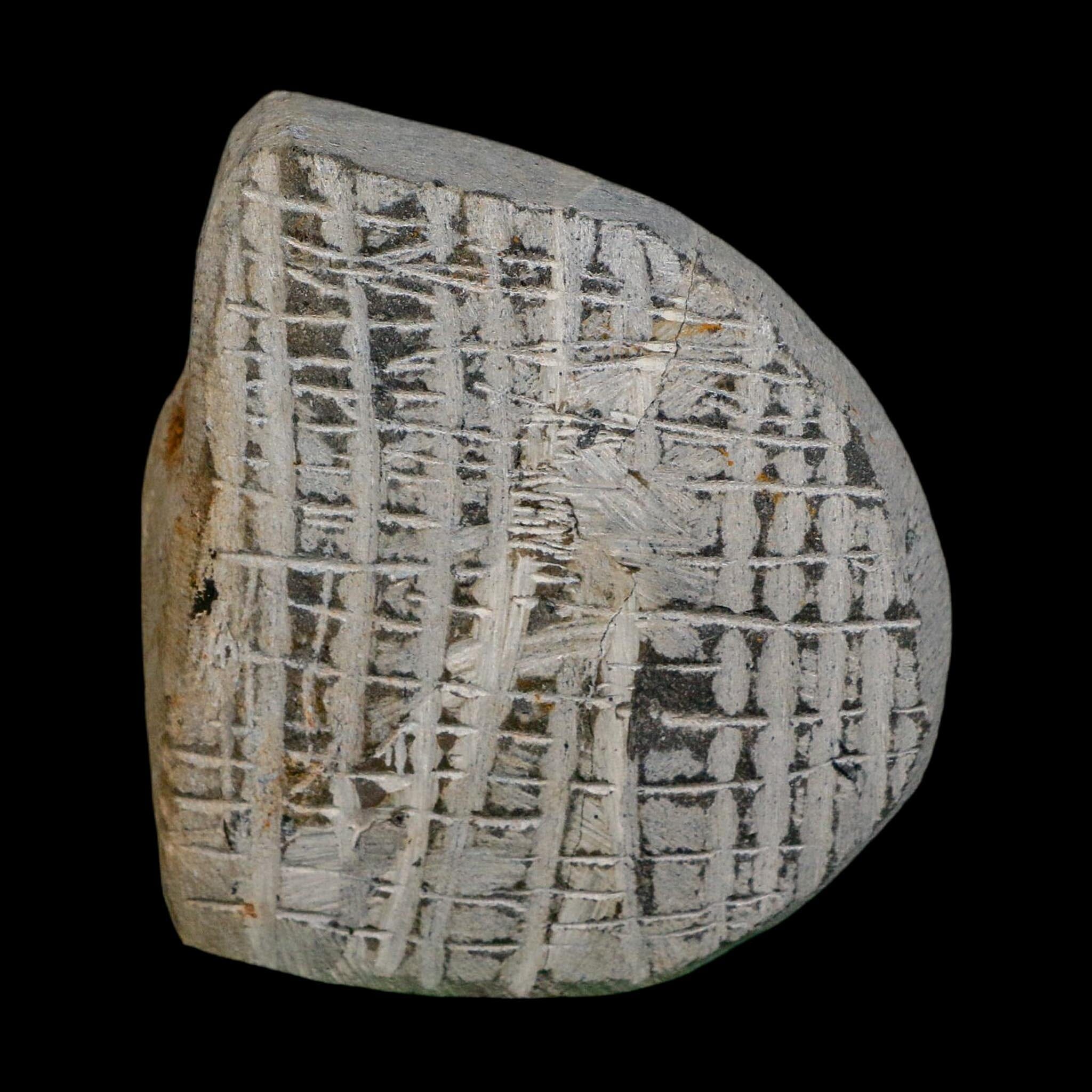 1.9" Metacanthina Issoumourensis Trilobite Fossil Devonian Age 400 Mil Yrs Old COA - Fossil Age Minerals