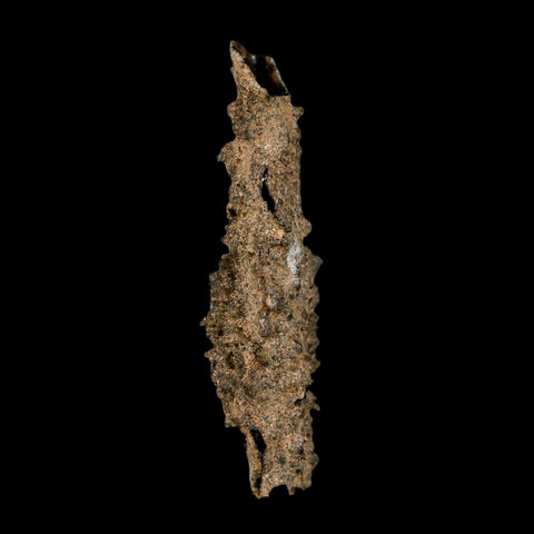 3.1" Fulgurite Petrified Lighting Strike Glass Sahara Desert Algeria - Fossil Age Minerals