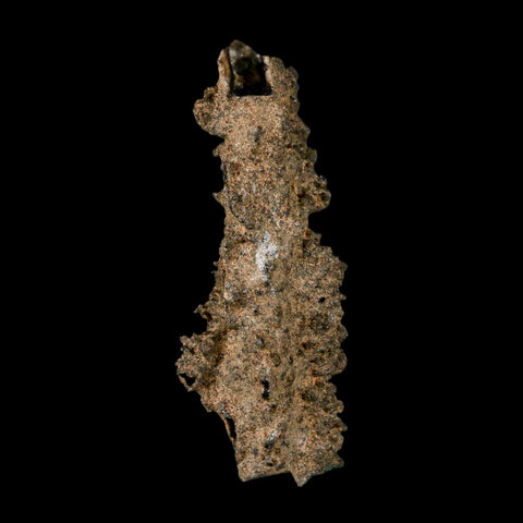 3.1" Fulgurite Petrified Lighting Strike Glass Sahara Desert Algeria - Fossil Age Minerals