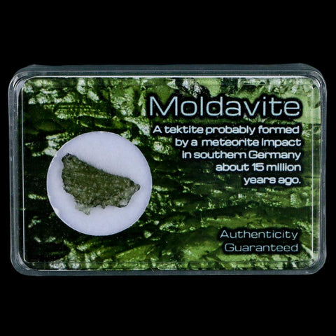 Moldavite Tektite Green Glass Meteorite Specimen Southern Germany Display - Fossil Age Minerals
