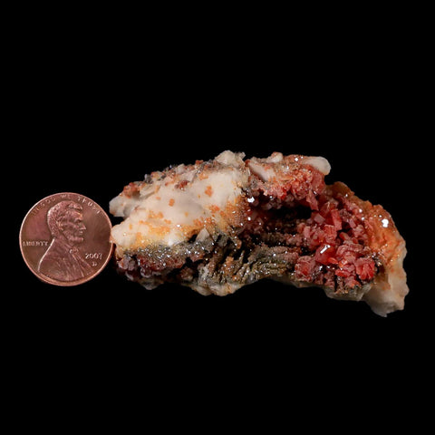 2.4" Sparkly Red Vanadinite Crystals White Barite Blades Mineral Mabladen Morocco - Fossil Age Minerals