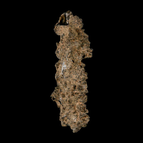 3.1" Fulgurite Petrified Lighting Strike Glass Sahara Desert Algeria - Fossil Age Minerals