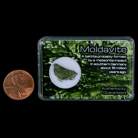 Moldavite Tektite Green Glass Meteorite Specimen Southern Germany Display - Fossil Age Minerals