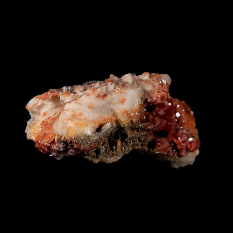 2.4" Sparkly Red Vanadinite Crystals White Barite Blades Mineral Mabladen Morocco - Fossil Age Minerals
