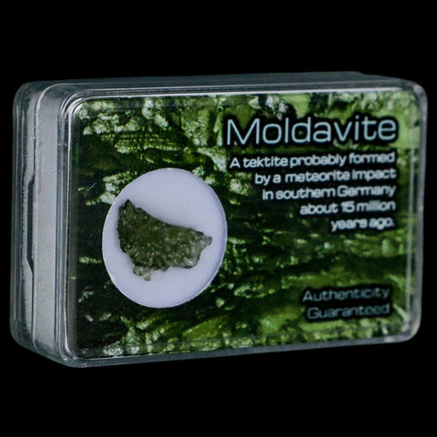 Moldavite Tektite Green Glass Meteorite Specimen Southern Germany Display - Fossil Age Minerals