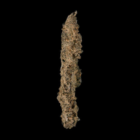 3.1" Fulgurite Petrified Lighting Strike Glass Sahara Desert Algeria - Fossil Age Minerals