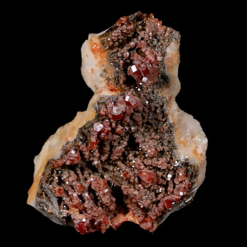2.4" Sparkly Red Vanadinite Crystals Black Barite Blades Mineral Mabladen Morocco - Fossil Age Minerals