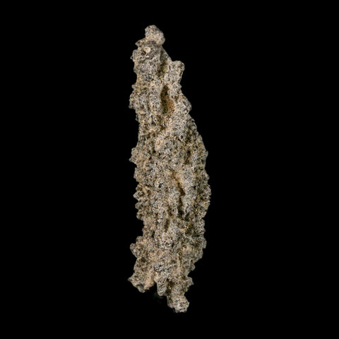 2.9" Fulgurite Petrified Lighting Strike Glass Sahara Desert Algeria - Fossil Age Minerals