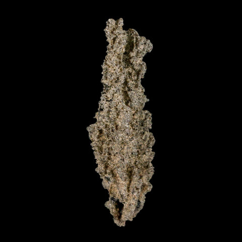 2.9" Fulgurite Petrified Lighting Strike Glass Sahara Desert Algeria - Fossil Age Minerals