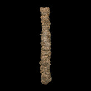 3.3" Fulgurite Petrified Lighting Strike Glass Sahara Desert Algeria