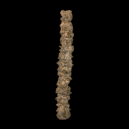 3.3" Fulgurite Petrified Lighting Strike Glass Sahara Desert Algeria