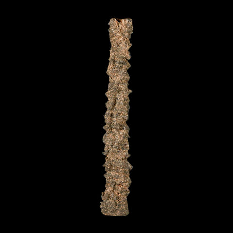 3.3" Fulgurite Petrified Lighting Strike Glass Sahara Desert Algeria - Fossil Age Minerals