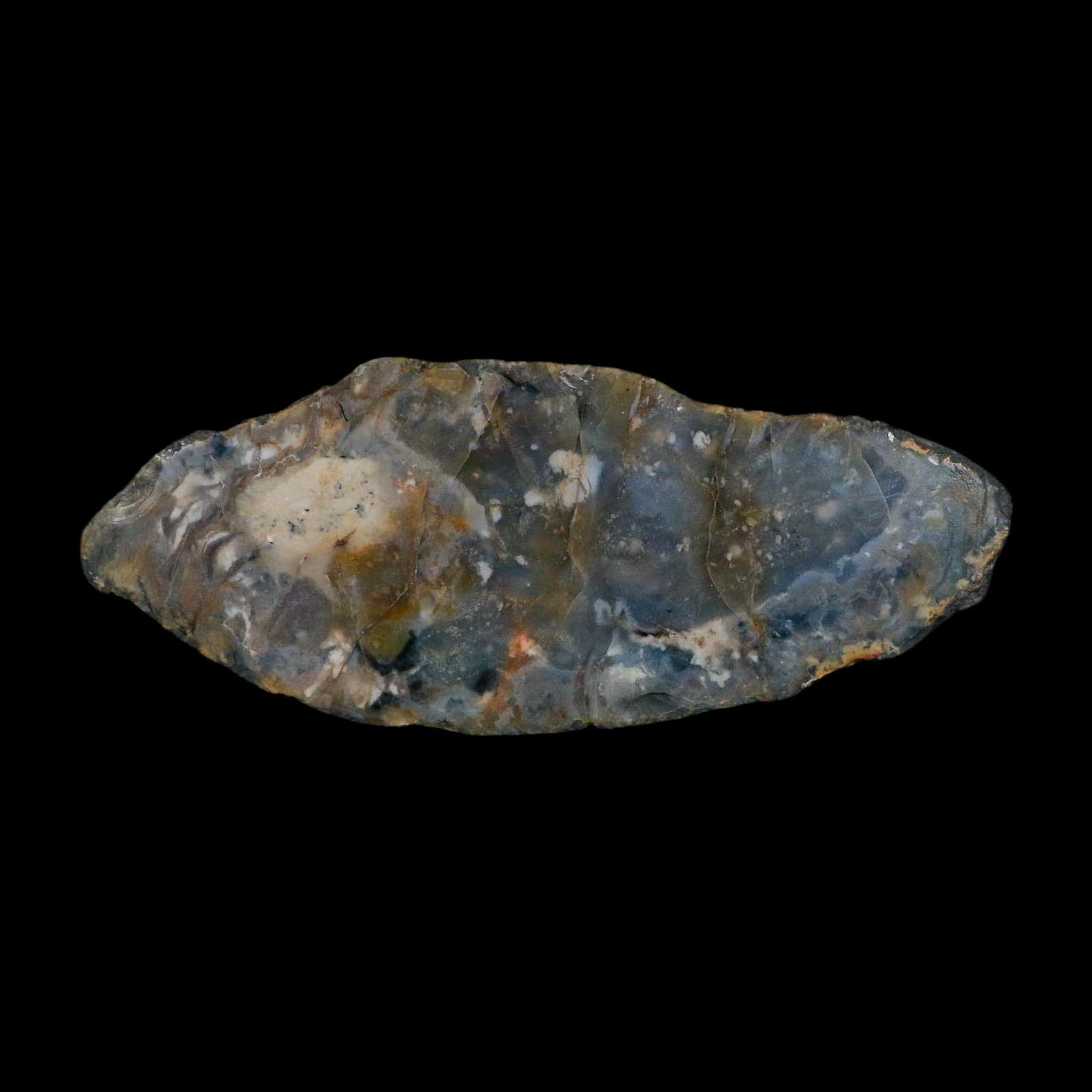 8.5" Dinosaur Coprolite Fossil Polished Slab Specimen Poop Dung Harry Mountain Utah - Fossil Age Minerals