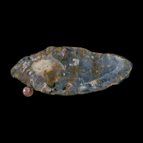 8.5" Dinosaur Coprolite Fossil Polished Slab Specimen Poop Dung Harry Mountain Utah - Fossil Age Minerals