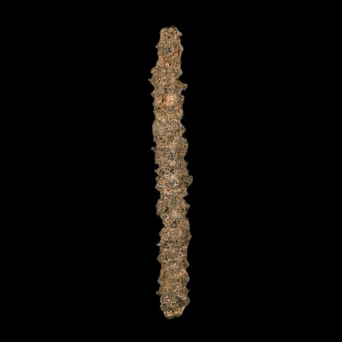 3.3" Fulgurite Petrified Lighting Strike Glass Sahara Desert Algeria - Fossil Age Minerals