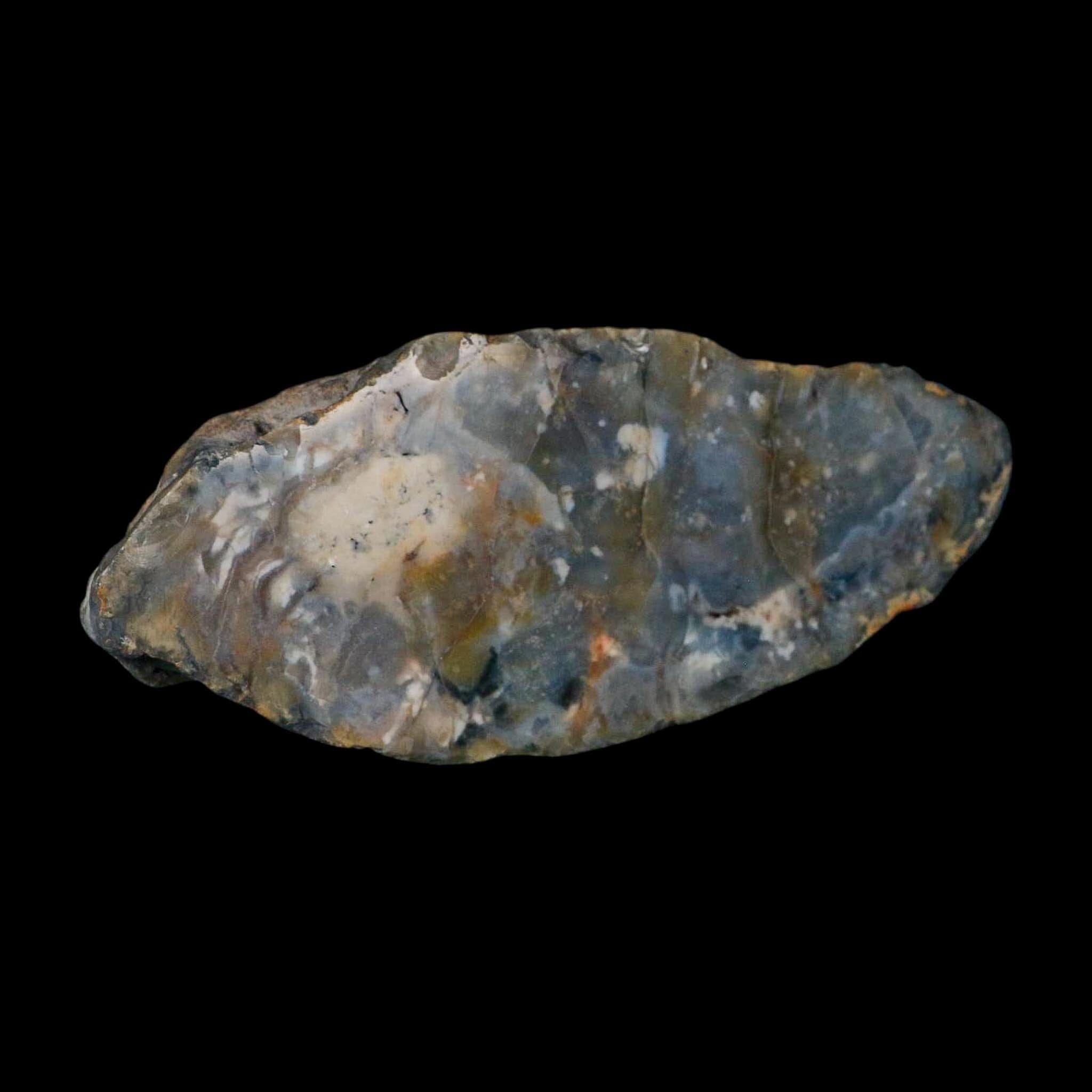 8.5" Dinosaur Coprolite Fossil Polished Slab Specimen Poop Dung Harry Mountain Utah - Fossil Age Minerals