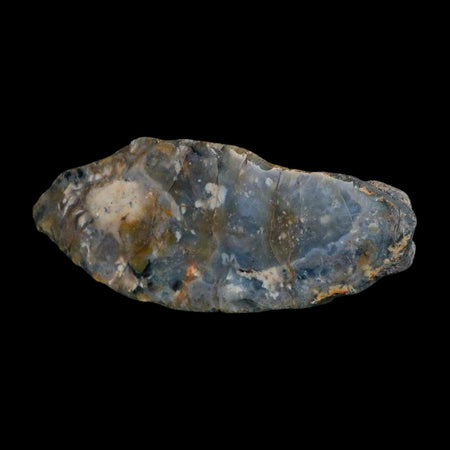 8.5" Dinosaur Coprolite Fossil Polished Slab Specimen Poop Dung Harry Mountain Utah
