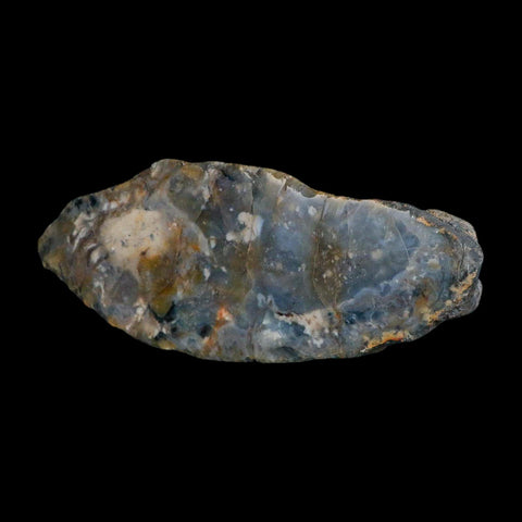 8.5" Dinosaur Coprolite Fossil Polished Slab Specimen Poop Dung Harry Mountain Utah - Fossil Age Minerals