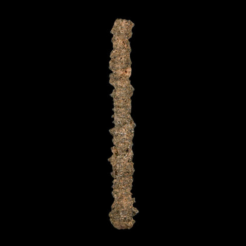 3.3" Fulgurite Petrified Lighting Strike Glass Sahara Desert Algeria - Fossil Age Minerals